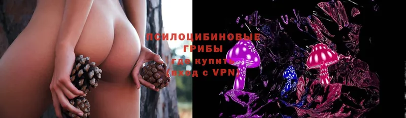 Псилоцибиновые грибы Magic Shrooms  Анжеро-Судженск 